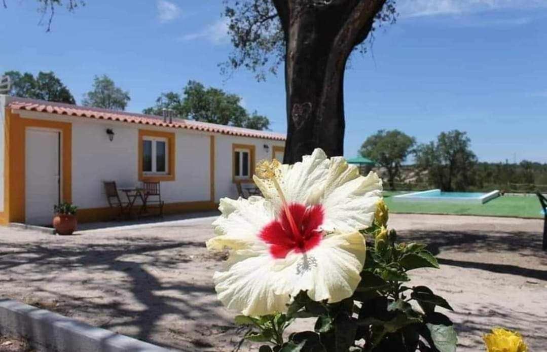 Monte Argil Apartamento Montargil Exterior foto